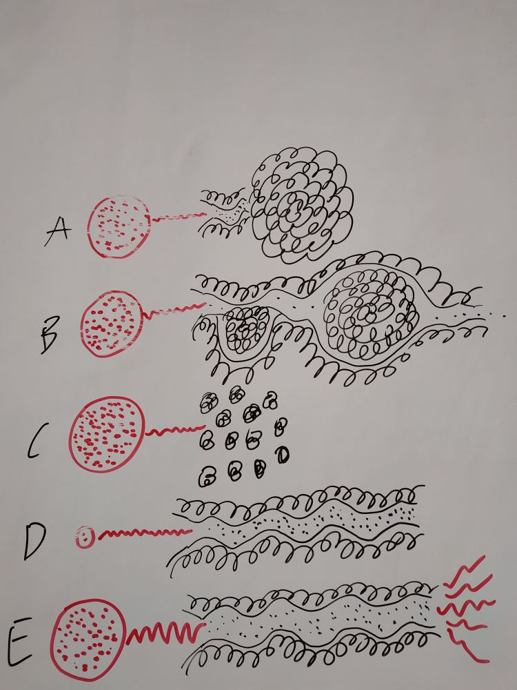 索取型和付出型的人,付出型和索取型哪个更容易成功