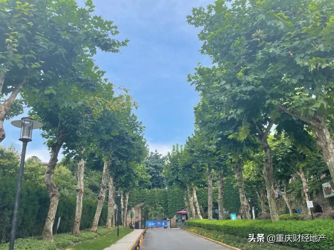 重庆向北,重庆向北与向西