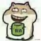 撞脸宋轶抖音,撞脸宋轶的人