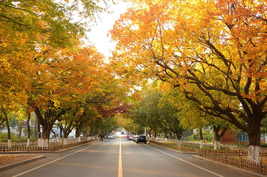 大连的海滩叫什么名字,大连的海有什么特点