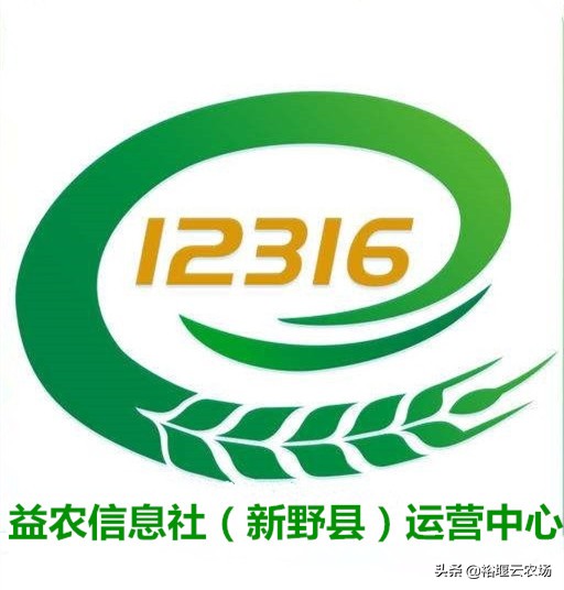 益农信息社河南省,益农信息社是什么单位办的
