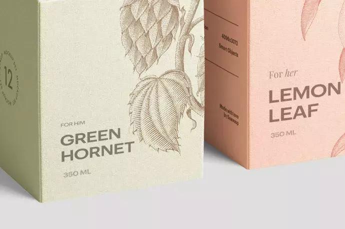 土特产电商设计策划方案,八年级美术土特产包装设计草稿图