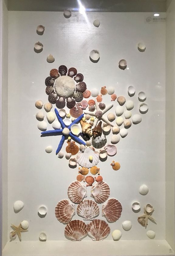 青岛海边的小海螺,青岛沿海的小海螺