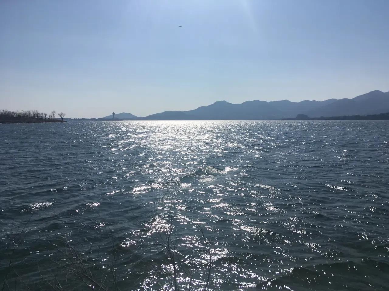 物种起源纪录片,物种的起源全文免费阅读