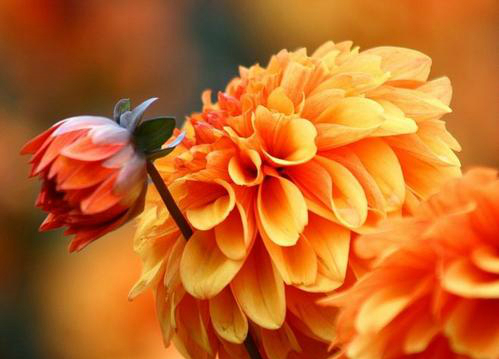 无法看清自己的人最可悲,看清一个人的十种方法