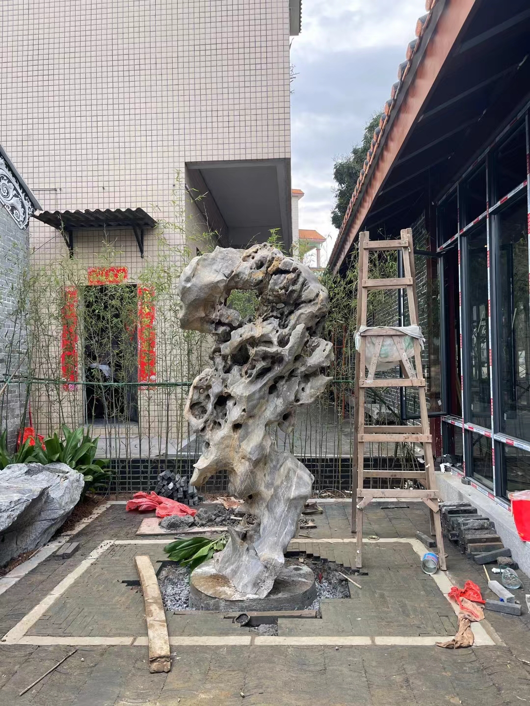 家里院子适合放什么盆栽,家里院子放什么好看