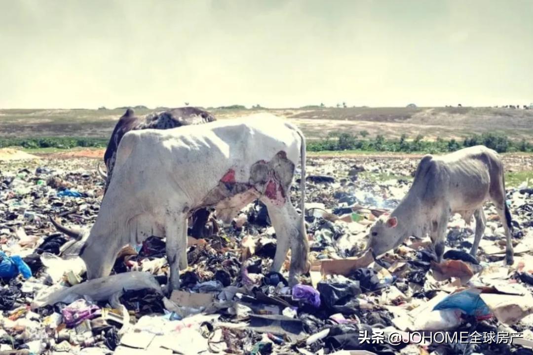 鍦ㄦ境娲茶喘涔癷phone,婢虫床璐拱iphone