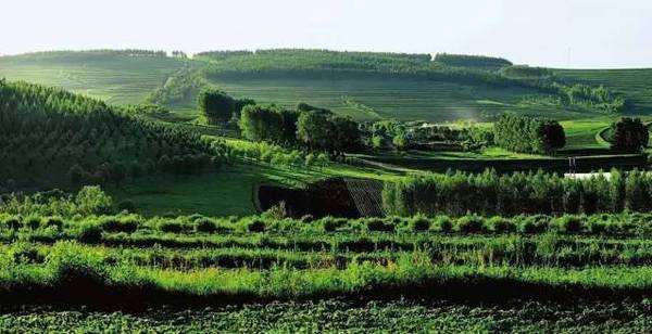 停电有感II从生活乐趣,到节能减排