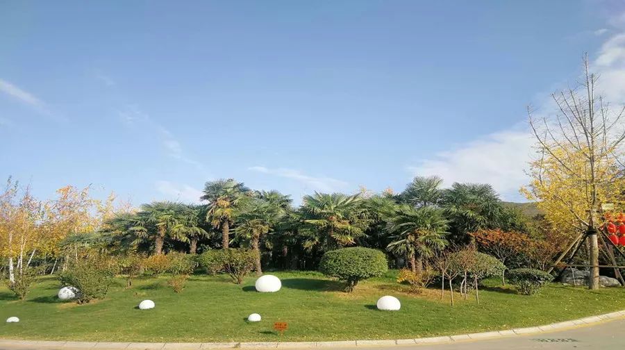 太白山凤凰温泉299住宿套餐,太白山凤凰温泉a楼和b楼