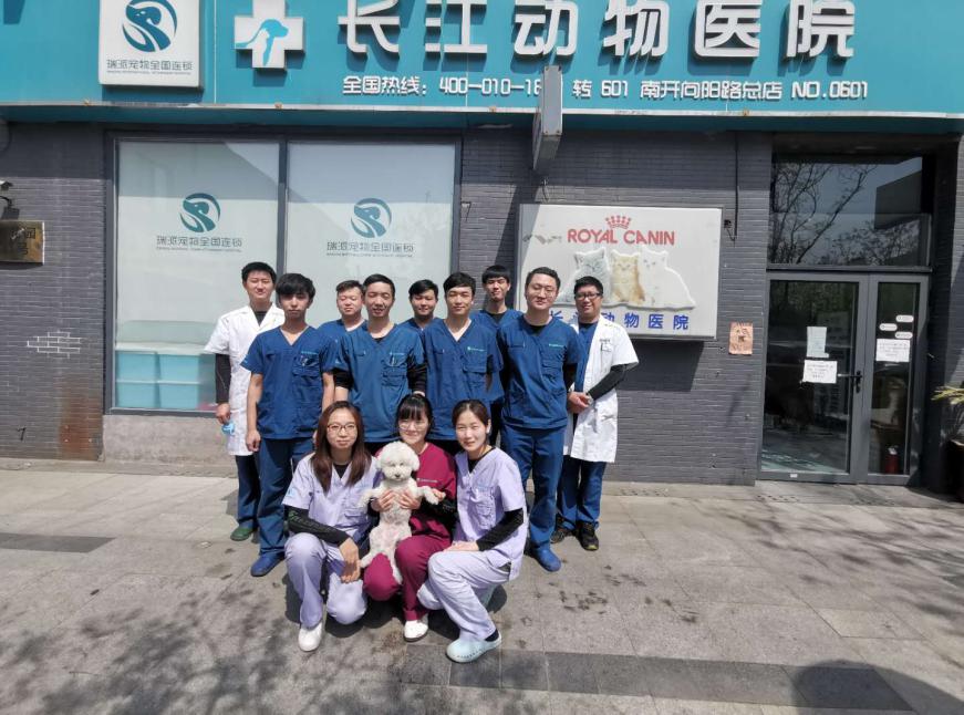 漳州瑞派宠物医院冠城分院,深圳瑞派宠物医院靠谱吗