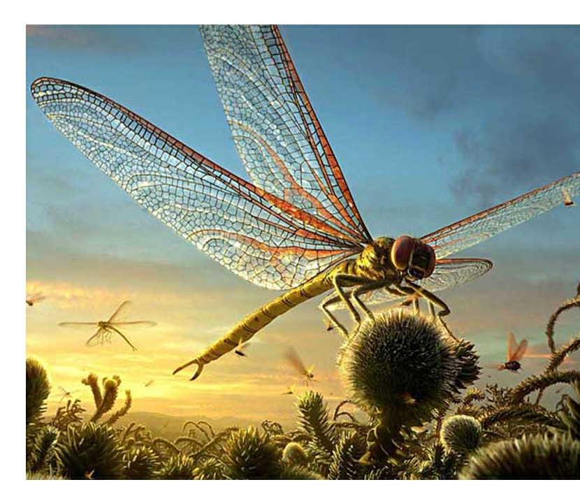 地球最大动物蓝鲸两百吨体重,地球最大的动物是什么动物