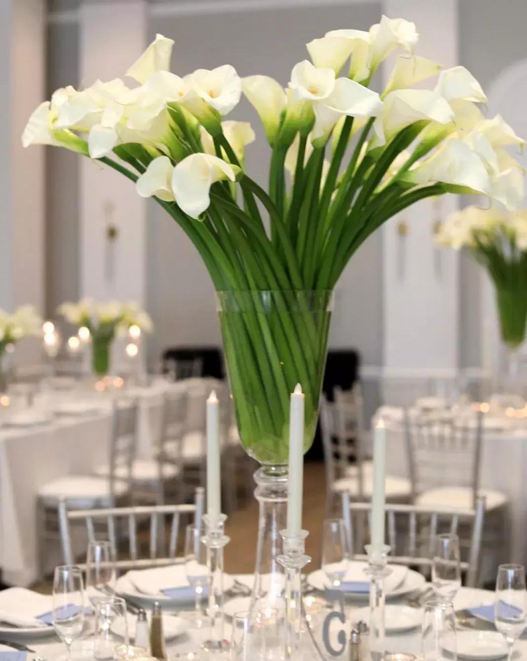 马蹄莲插花怎么养时间长,马蹄莲鲜花养护