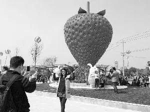 农业推广引流,低成本的引流掌握方法一样能挣钱