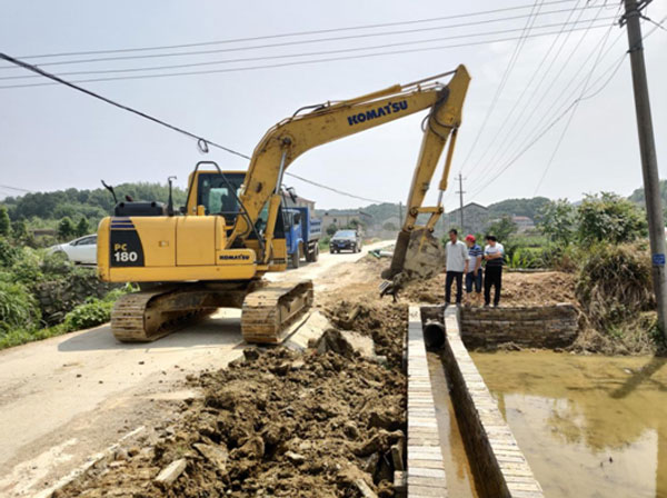 桃李芬芳百花齐放,花开满园桃李芬芳