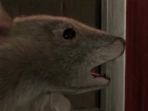 SE，你还记得大明湖畔的《寄生前夜》和《北欧女神》吗？