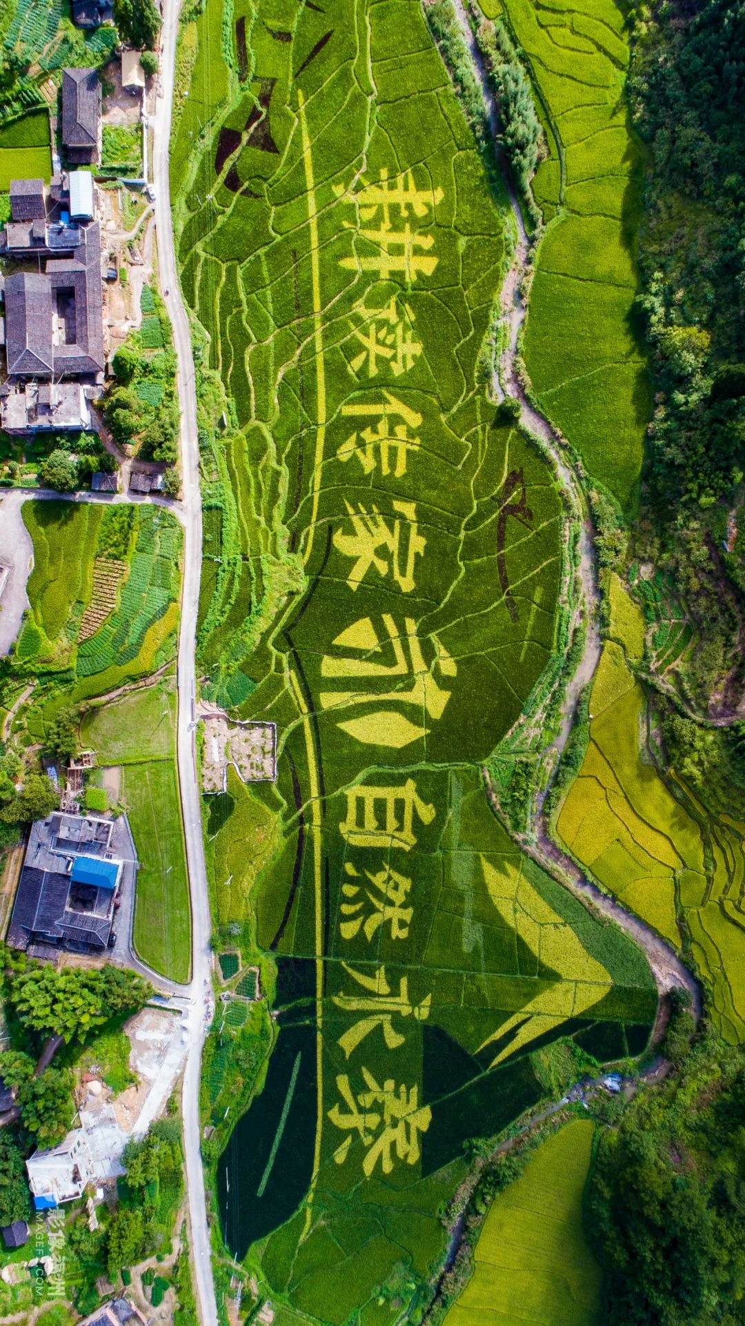 白云区永泰,什么是永泰葱饼