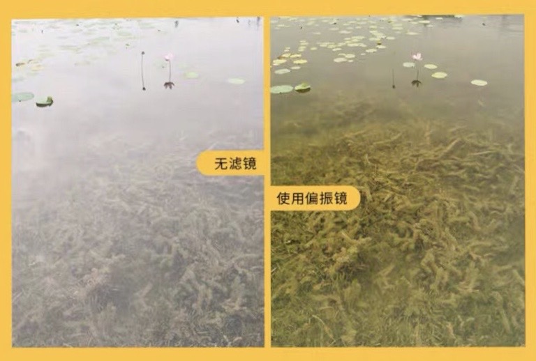 摄影如何解决水面反光,拍摄水面下的反光怎么消除