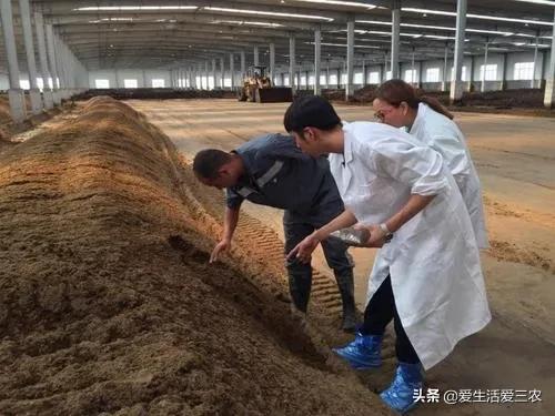 十大赚钱冷门生意,赚钱的冷门生意有哪些