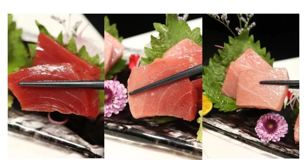 深圳轻奢酒窖,深圳日式居酒屋日料