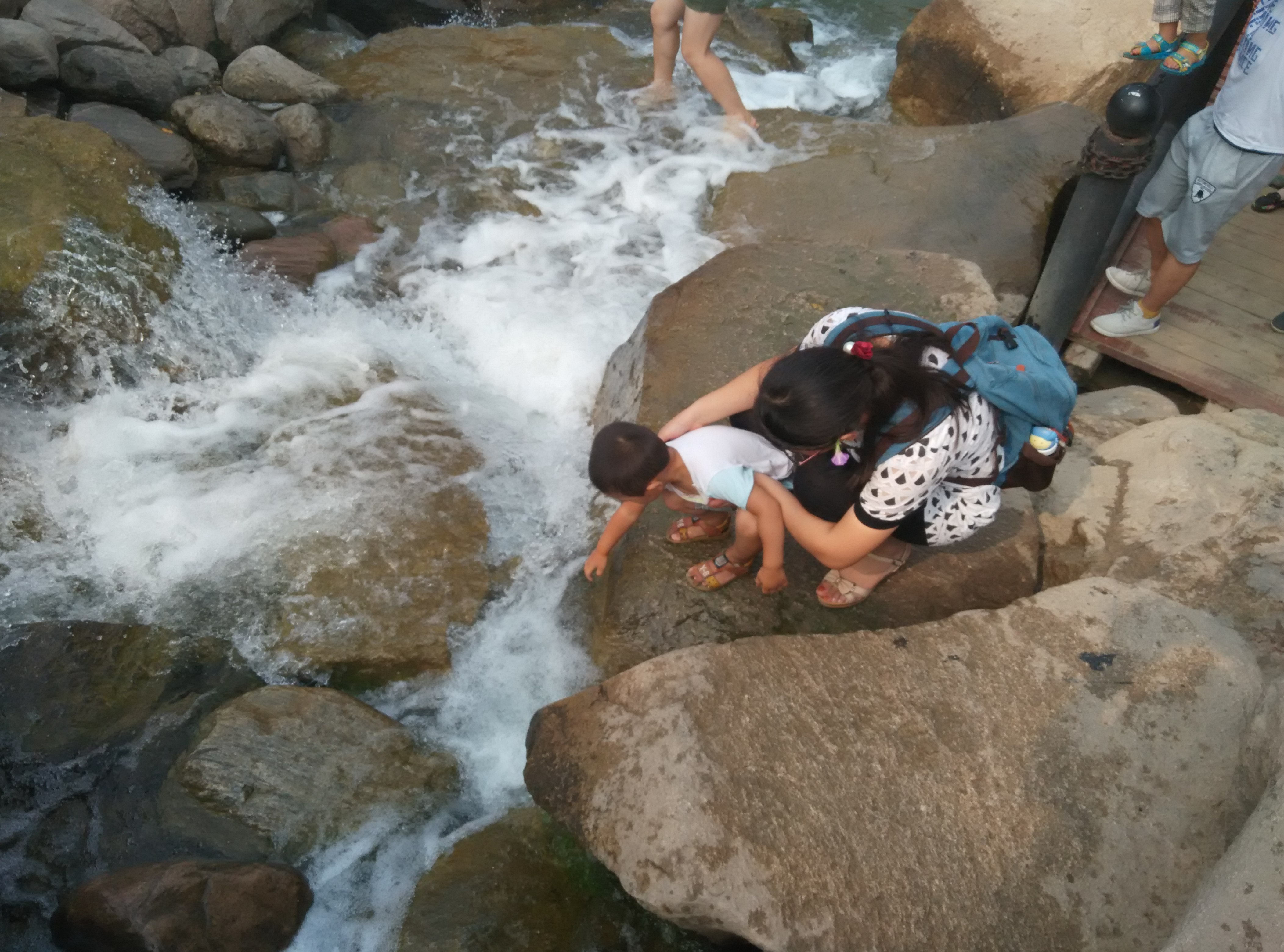 育儿大作战中的谜语,幼儿脑筋急转弯谜语大全