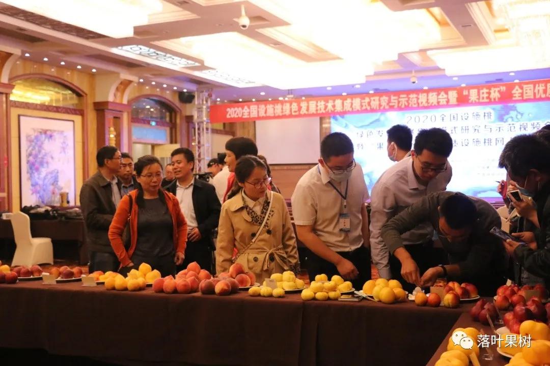 中国桃产业转型升级,桃产业转型升级的思考