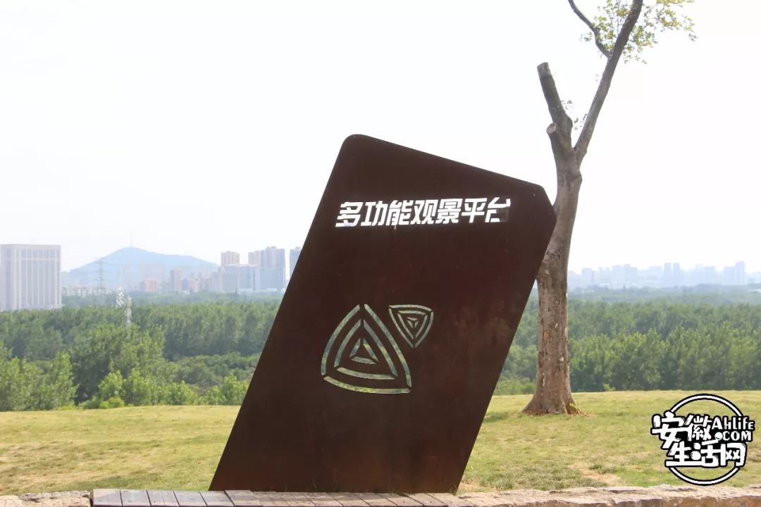 庐阳老城内藏着一处最大的综合性森林公园，人少景美，关键还免费