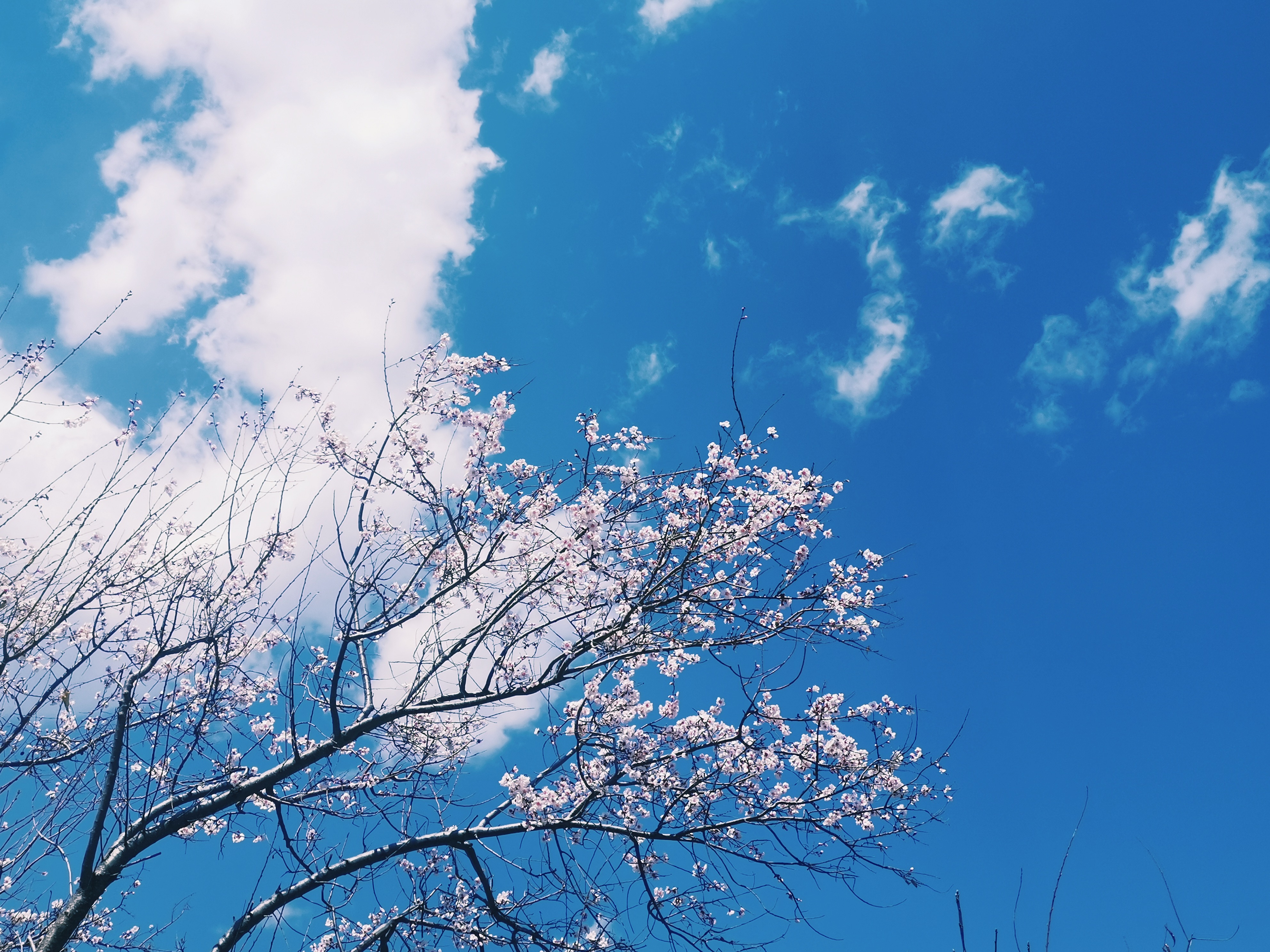 g318骑行上海,自驾g318川藏线分享沿途美景