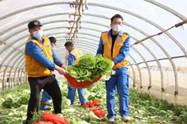 閾佽矾鐗╄祫鏀彺姝︽眽,鍏ㄥ浗楂橀搧鏀彺姝︽眽鐗╄祫