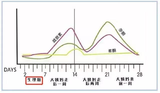 姨妈推迟皮肤变差,为什么一来姨妈皮肤就变差
