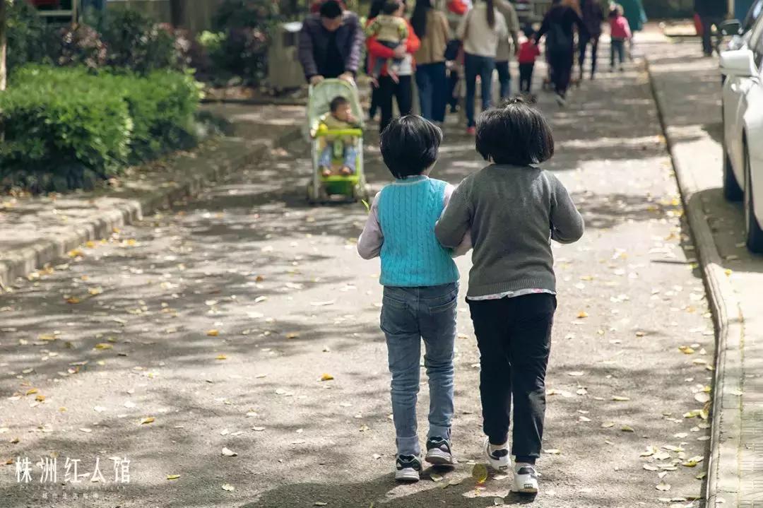 株洲神农公园的传说,株洲神农公园游览图