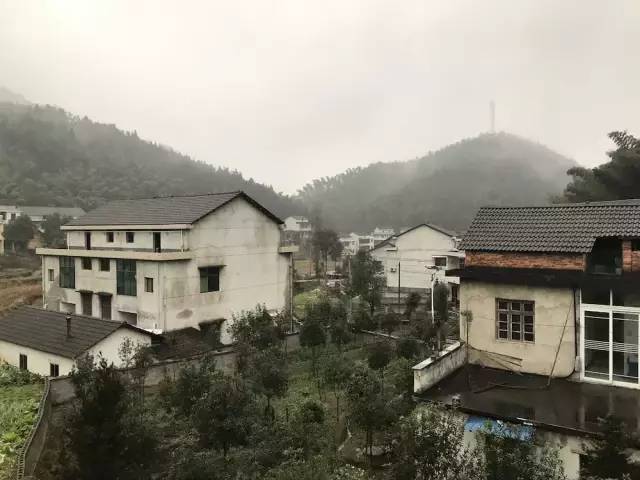 湖南益阳被救女孩,湖南益阳女子被救助