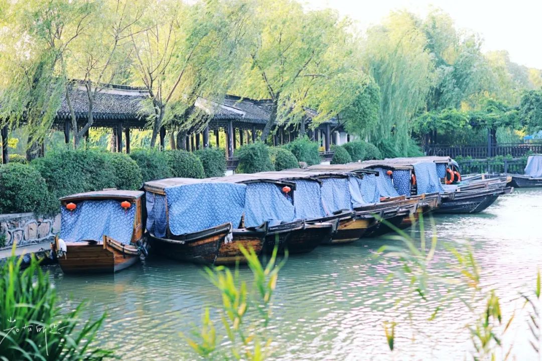 娌欏娴滈鏅尯鑺辨捣,娌欏娴滅殑绱壊鑺辨捣