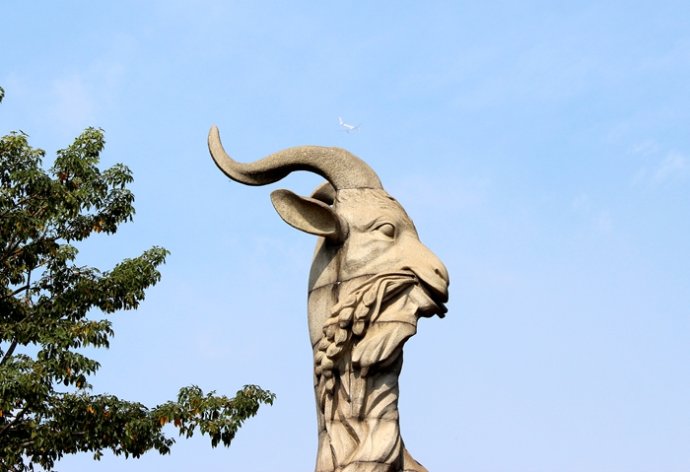 广东人对鸡情有独钟什么意思,为啥广东人喜欢吃鸡鸭鹅