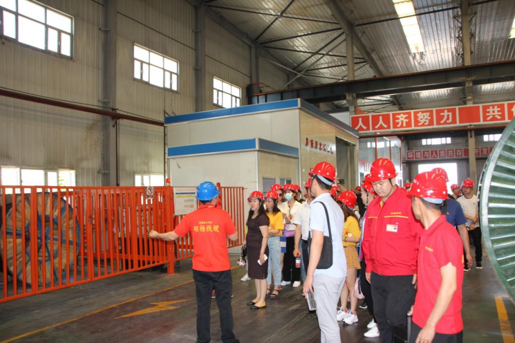 欢迎*疆新**自治区市场监督管理局领导莅临胡杨线缆公司交流学习