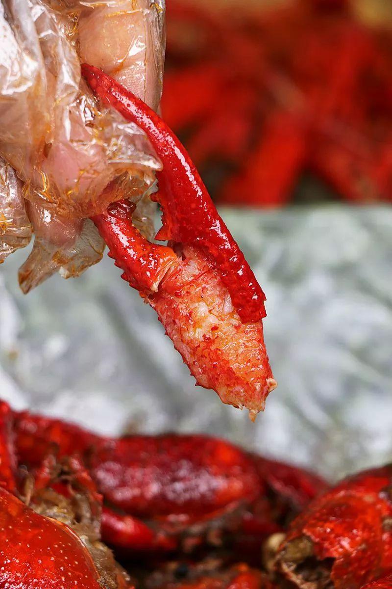 宜春潜江小龙虾,宜春潜江龙虾