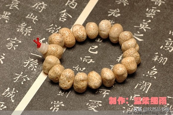 菩提子种类全图解,菩提子的种类全解图