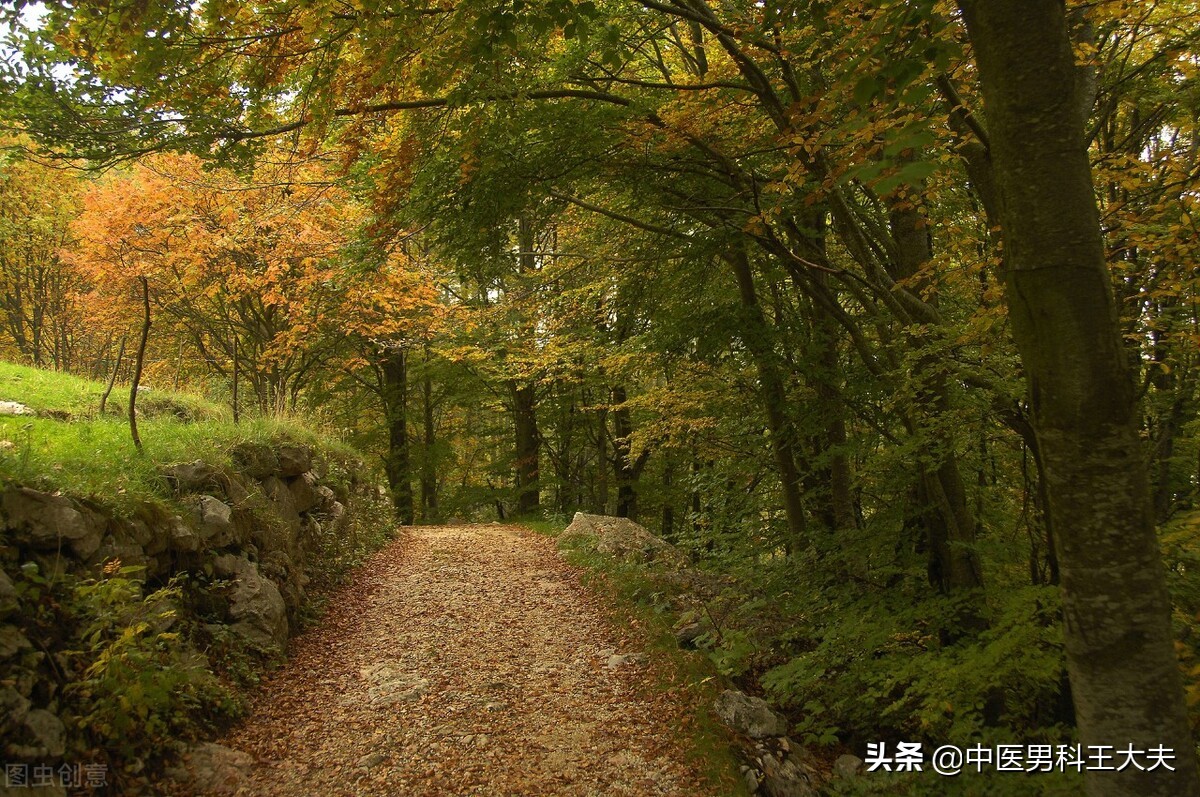 过度劳累导致肾虚吃什么,肾精亏虚严重脱发严重