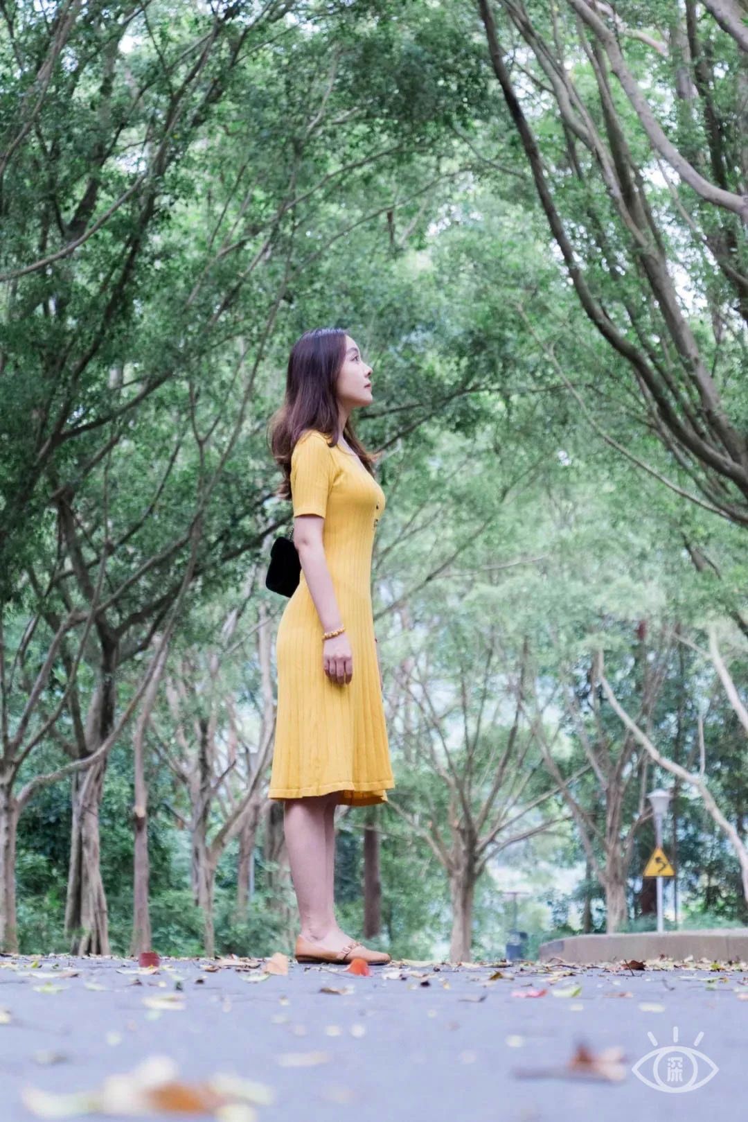 天下最美湖泊西湖,比西湖更美的湖泊