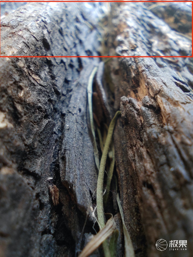 怎样把坚果pro3拍照发挥到极限,如何优化坚果pro3的拍照功能