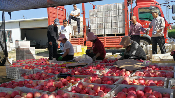 一网情深逐梦小康——记甘肃广电网络公司精准扶贫之路