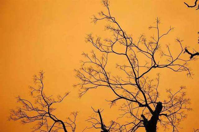 马致远《天净沙秋思》情景交融,如何解读马致远天净沙秋思