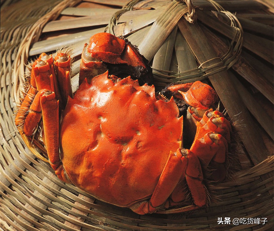 大闸蟹是热水下锅还是冷水下锅,清蒸大闸蟹冷水下锅还是热水下锅