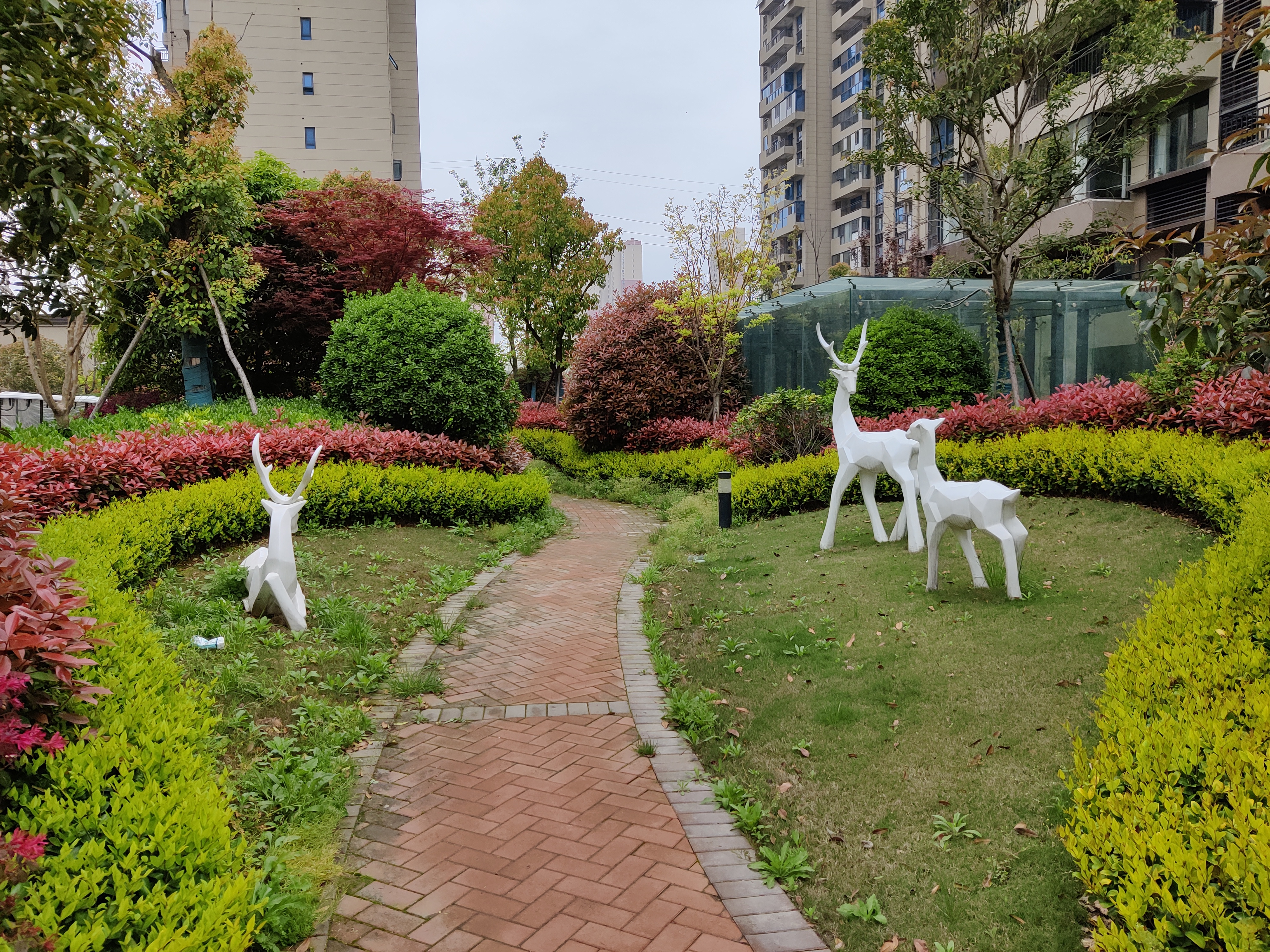 碧桂园时代城和融创哪个值得买,碧桂园时代城和九鼎华府选哪个