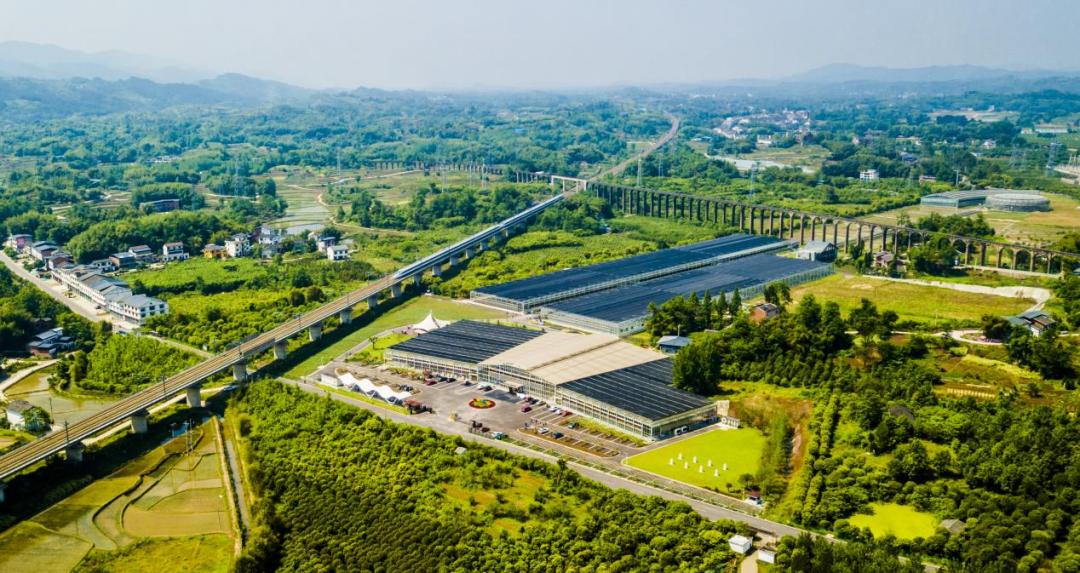 重庆教师节景区免费吗,岁月如歌感念师恩特色教师节活动