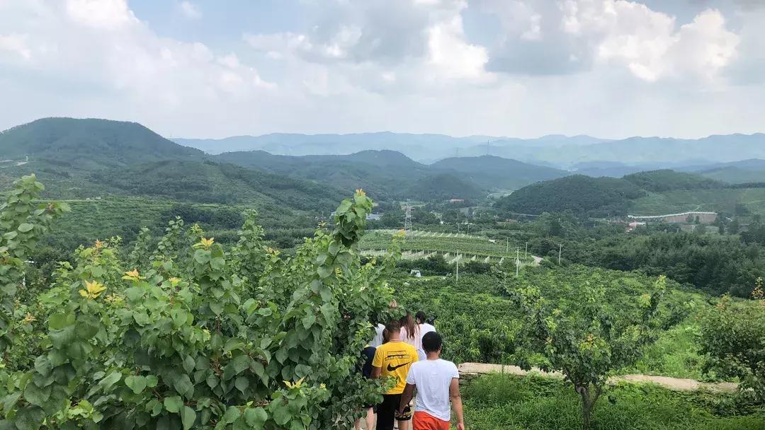 丹东沿海干净小岛旅游攻略,丹东旅游特色美食攻略图