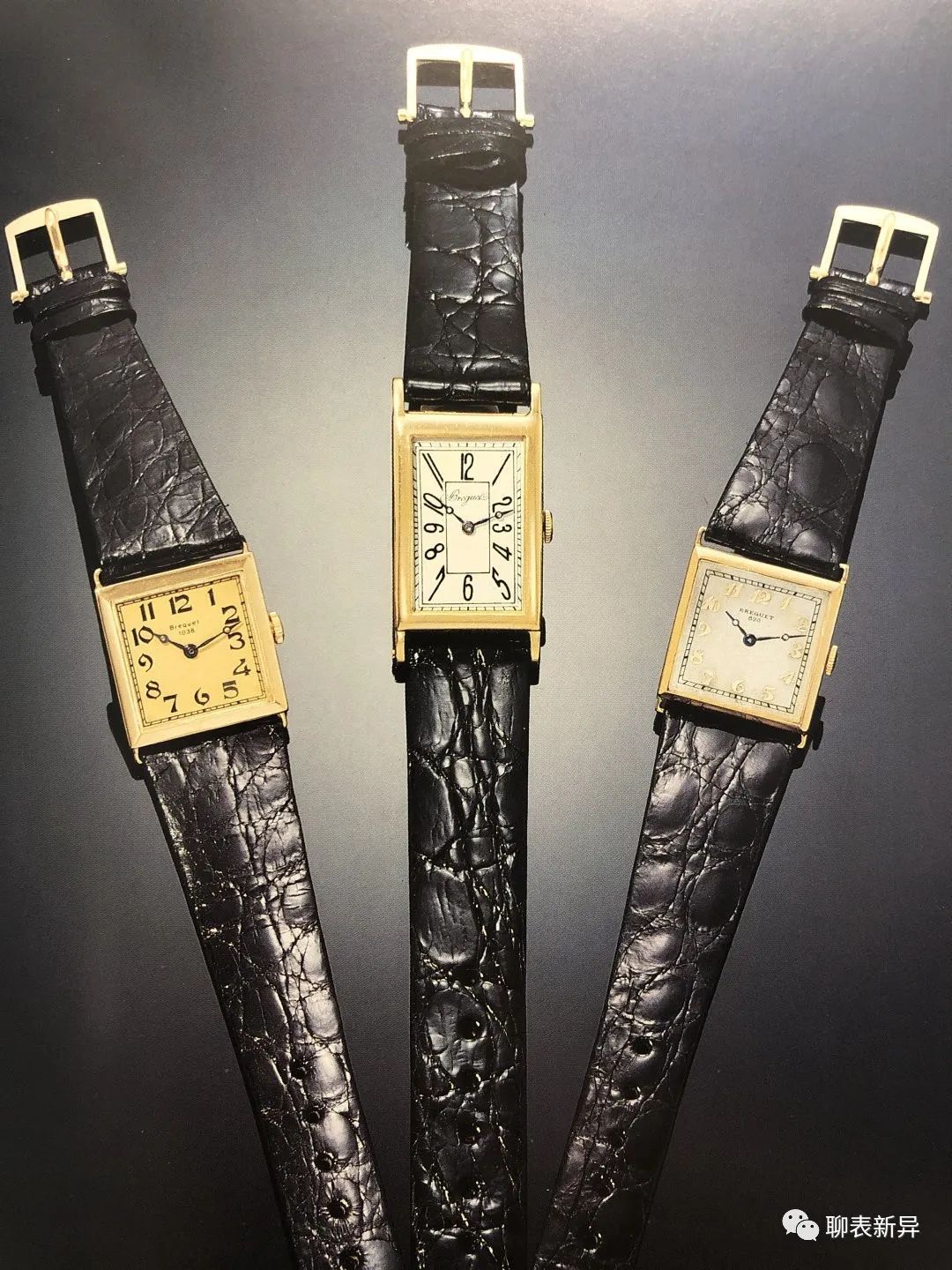 百里鸽,百里乳鸽