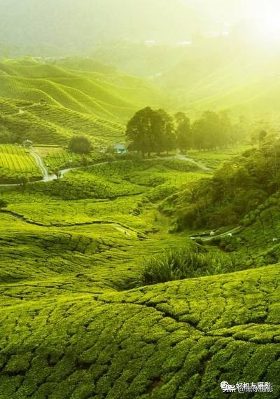 超广角和长焦镜头哪个更实用,广角镜头和长焦镜头优缺点