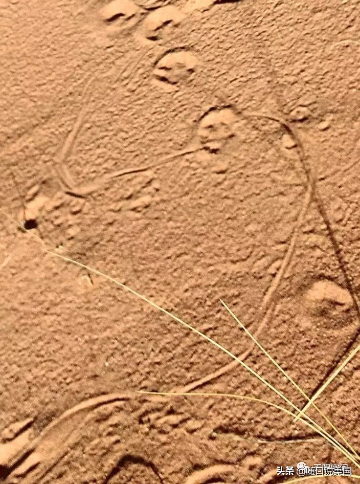 荒野乱斗流彩伊芙强度,荒野行动榴弹怎么用