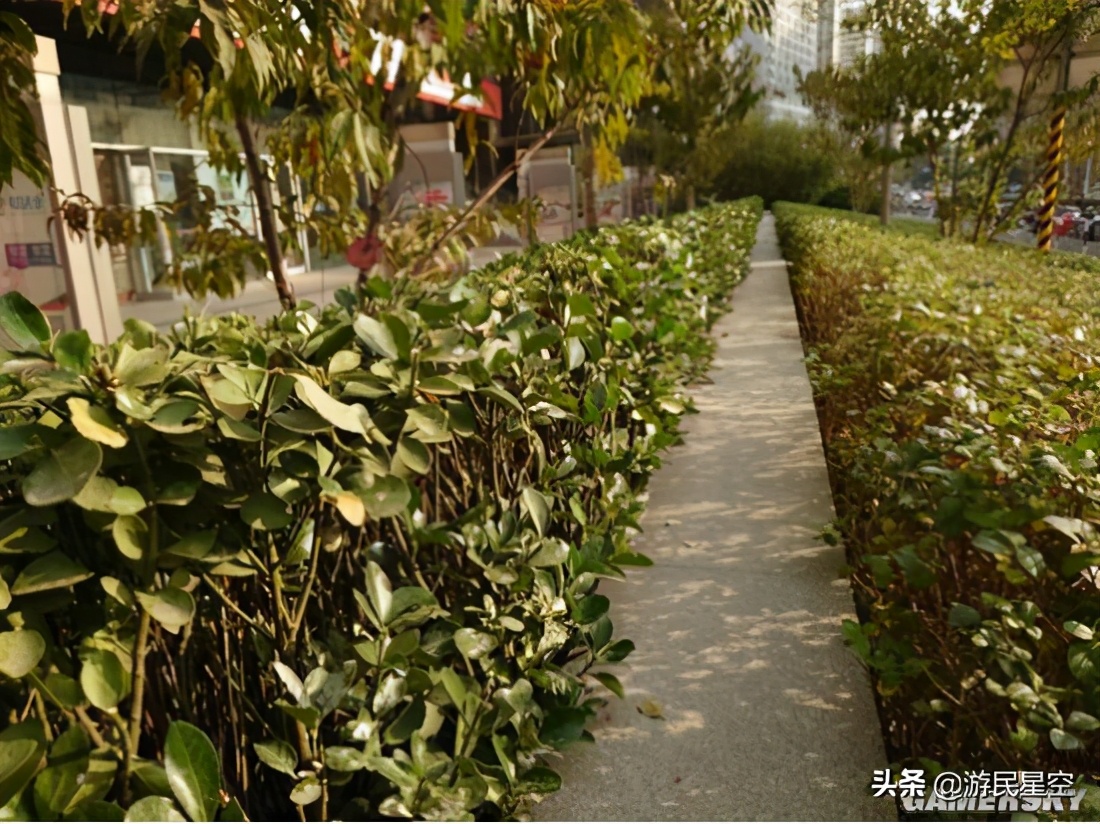 索尼xperia5ii深度测评,索尼xperia5ii长期测评