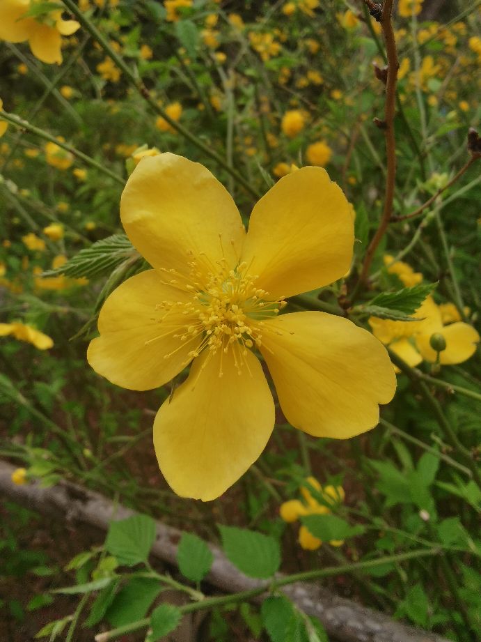 济南地铁出行哪里好玩,济南地铁2号线宜家是哪一站